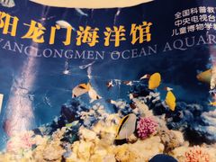 -洛阳龙门海洋馆