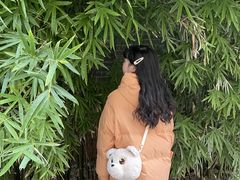 -苏家巷36号公馆