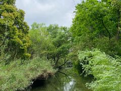 -溱湖国家湿地公园