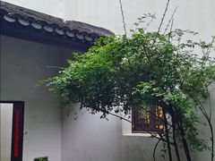 -南京市民俗博物馆(甘熙故居)