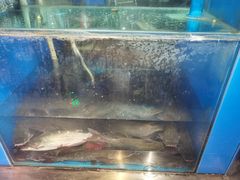 -鱼酷活鱼烤鱼(梅江印象城店)