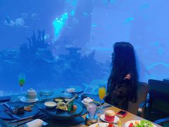 -海棠湾洲际-涛·海底餐厅·美人鱼·自助餐·海底隧道