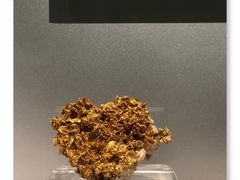 -中国地质博物馆