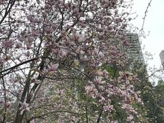 -重庆彩云湖湿地公园