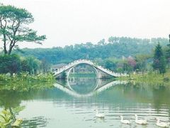 湖光水色-田野绿世界