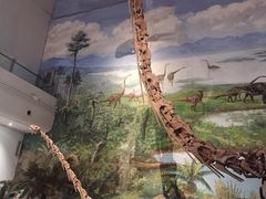 -自贡恐龙博物馆