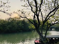 -西溪国家湿地公园