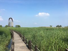 -太湖湖滨国家湿地公园-停车场