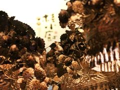-桂小厨广西菜(青秀万达店)
