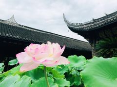 -宝光寺