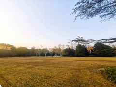 -御花园·粤菜·海鲜火锅(中山公园店)
