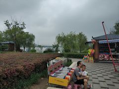 -南湖国家城市湿地公园