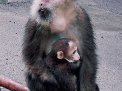 -西岭雪山大飞水景区