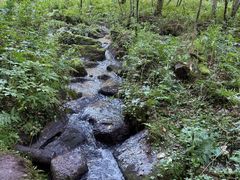 -五营红松林海景区
