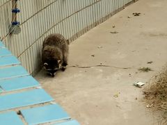 -石家庄市动物园