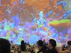 -海合安成都极地海洋公园