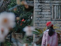 -草庵摩尼教遗址公园