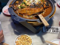 -南锣肥猫·麻辣烤鱼·15年现烤现卖(通州领展店)