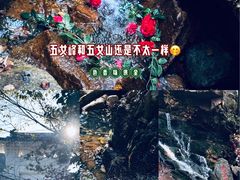 -五女峰国家森林公园