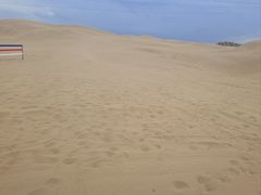 -银肯塔拉沙漠生态旅游景区