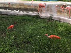 -秦皇岛野生动物园