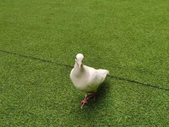 -成都欢乐谷