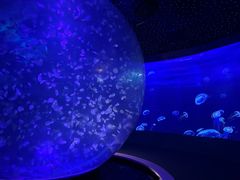 -江和美海洋公园