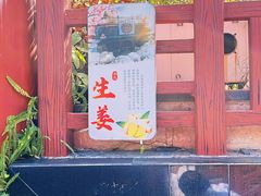 -东山湖温泉度假村