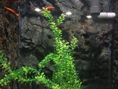 -苏州海洋馆
