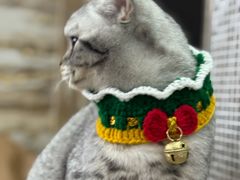 -艾贝尔宠物医院 ·内科全科(梁溪路店)