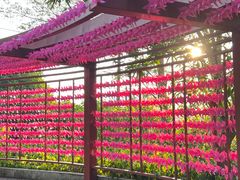 -广州神农草堂中医药博物馆