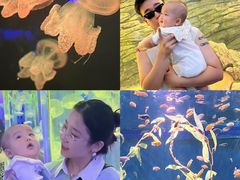 -欢乐海岸海洋奇梦馆