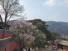 -妙峰山风景名胜区
