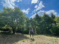 -阳台山自然风景区