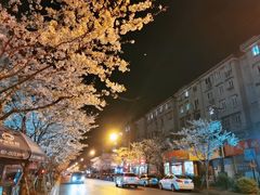 -永乐路-路侧停车场