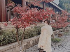 -苏州吴宫泛太平洋酒店