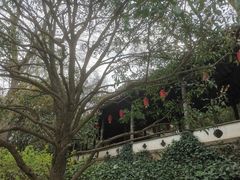 -惠山古镇·寄畅园