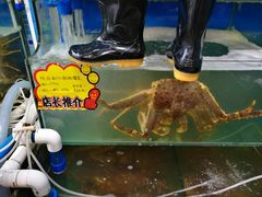 -蚝专家(北滘店)