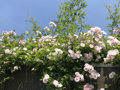 -UNI UNI(环亚凯瑟琳店)