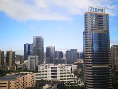 -深圳湾科技园丽雅查尔顿酒店
