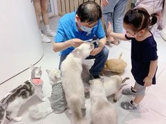 -Heymao猫咖.咖啡厅(东门店)