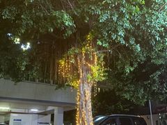 -唐萌街·咖啡·精酿·茶