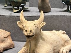 -广西壮族自治区博物馆