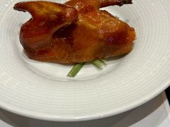 -云门锦翠(商鼎国际店)