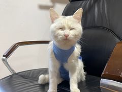 -美联众合动物医院·24h转诊中心