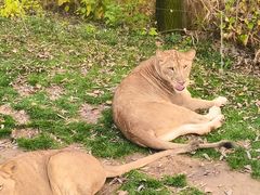 -北京野生动物园