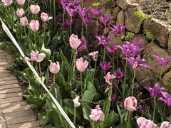 -国家植物园南园