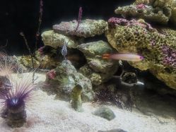 -Zoolung Zoolung动物主题公园(海信广场店)