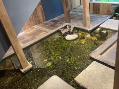 -邈墨茶馆(大兜路1号店)