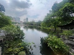 -荔湾湖公园